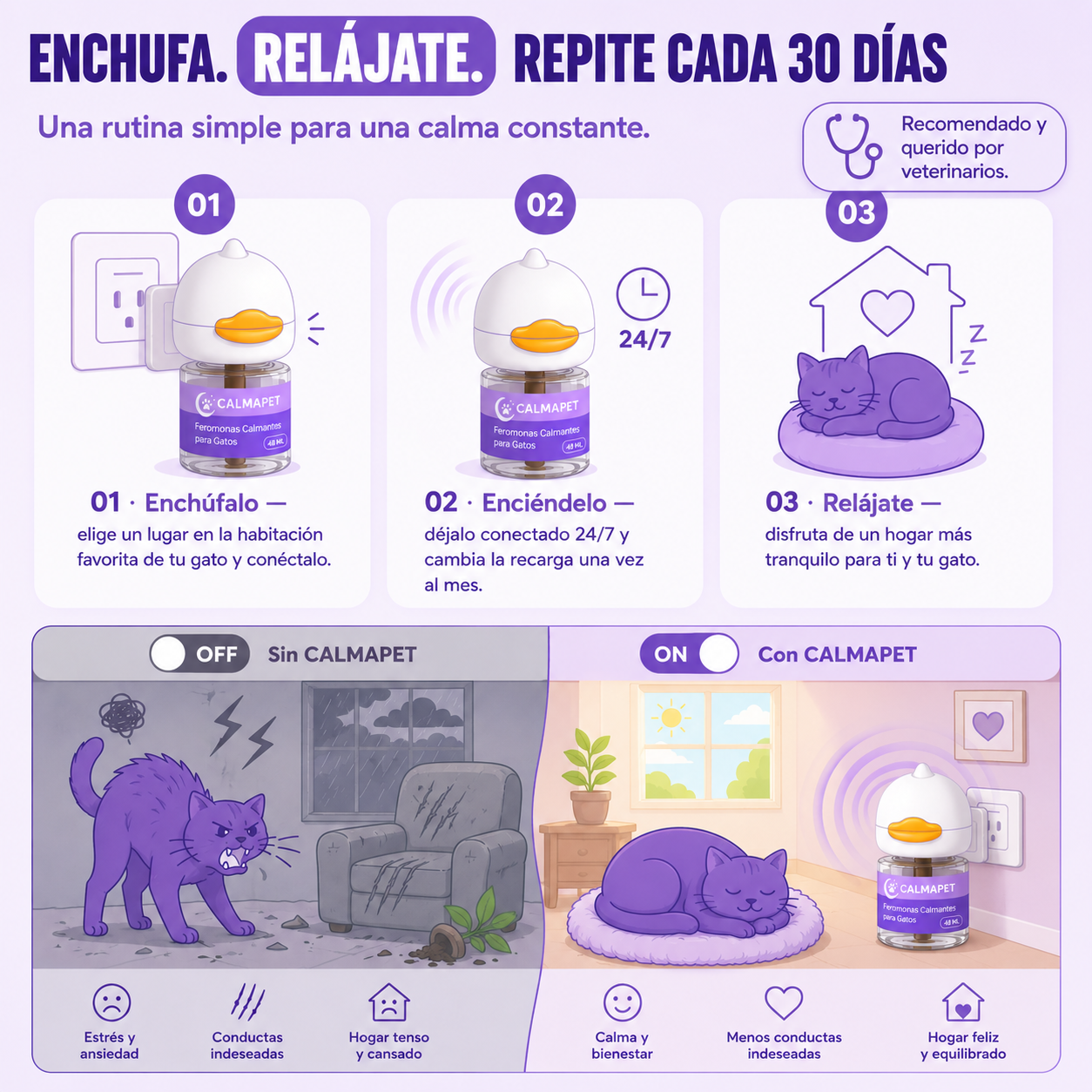 ¿Cómo Funciona?