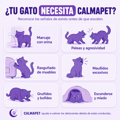 Kit difusor calmante para gatos - CalmaPet®