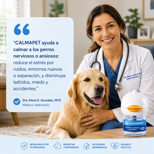 Kit difusor calmante para perros - CalmaPet®