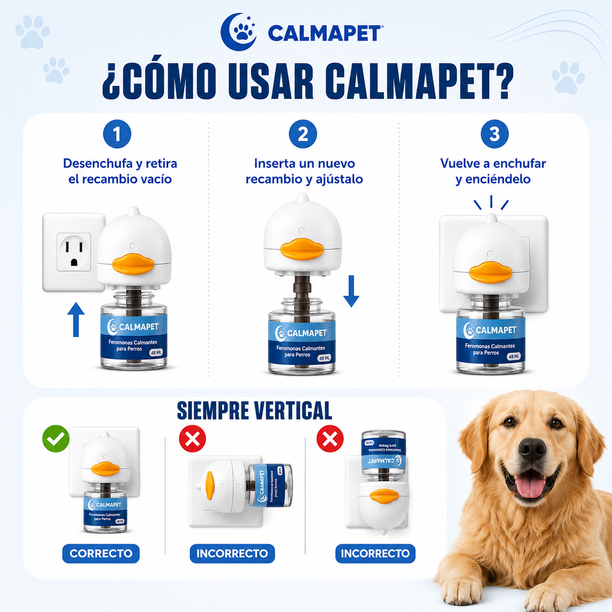 ¿Cómo Funciona?