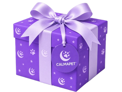 Regalo misterioso