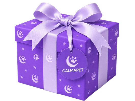 Regalo misterioso
