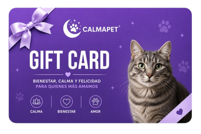$20 GIFT CARD