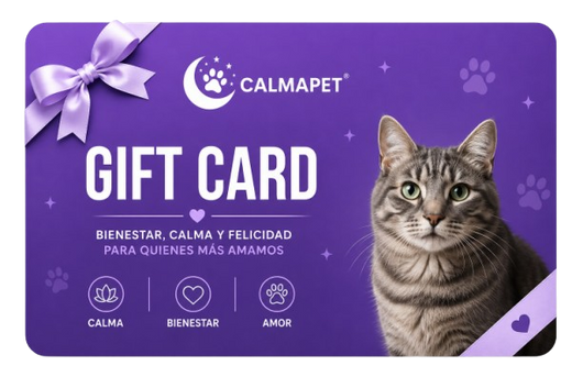 $20 GIFT CARD