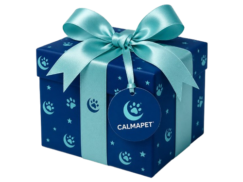 Regalo Misterioso